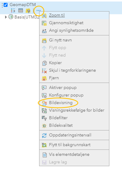 bildevisning